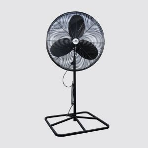 6' Pedestal Fan